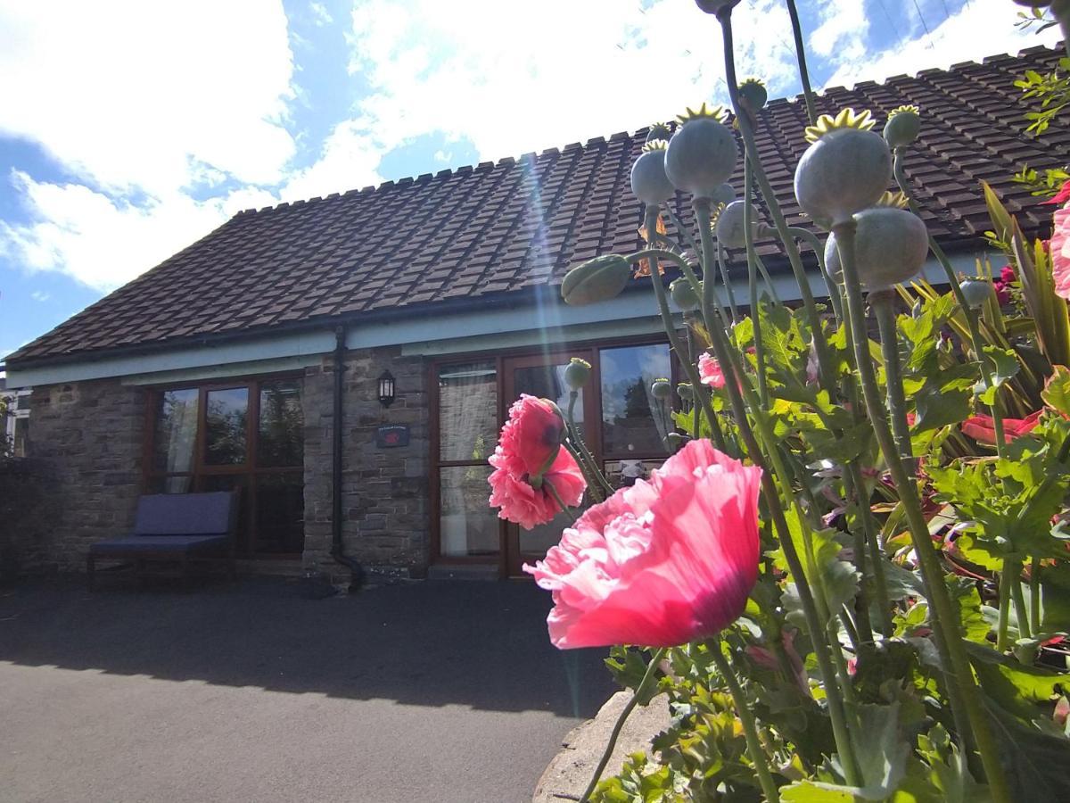 Tyncellar Farm Margam